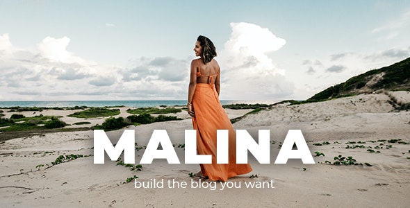 Nulled Malina v2.2.0 - Personal WordPress Blog Theme